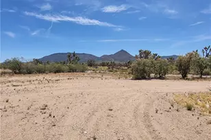 26012 N Peach Ln, Meadview, AZ 86444 - Photo 40