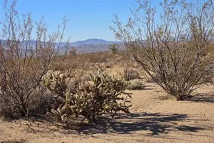 242-08-013 W Crystal Springs Dr, Yucca, AZ 86438 - Photo 1