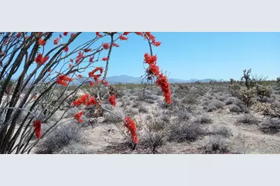 242-08-013 W Crystal Springs Drive, Yucca, AZ 86438 - Photo 4