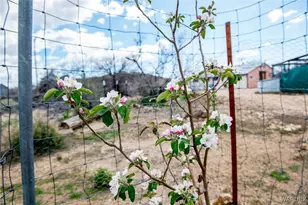 5031 W Tennessee Ave, Chloride, AZ 86431 - Photo 60