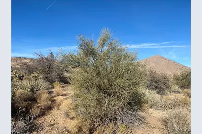 00 Jarvis Way, Hackberry, AZ 86411 - Photo 14