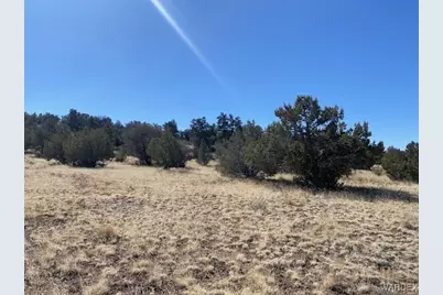 314-47-011 Unknown, Peach Springs, AZ 86434 - Photo 12