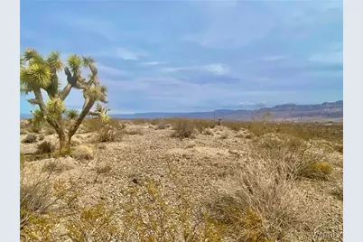 1650 W Safari Drive, Meadview, AZ 86444 - Photo 14