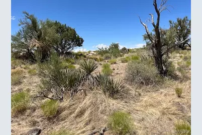 Tbd Lazy Y U, Kingman, AZ 86401 - Photo 10