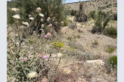 Tbd Lazy Y U, Kingman, AZ 86401 - Photo 6