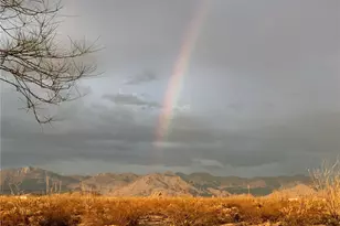 14105 S Cactus Rd, Yucca, AZ 86438 - Photo 46