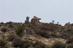 000 Between Silver Springs Rd and Willow Creek, Kingman, AZ 86401 - Photo 1