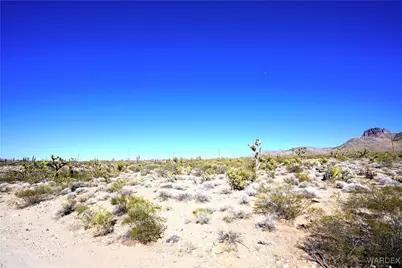 319-13-233 N Lariat Drive, Dolan Springs, AZ 86441 - Photo 2