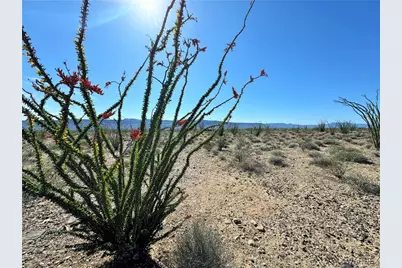 471 W Juniper Drive, Yucca, AZ 86438 - Photo 2