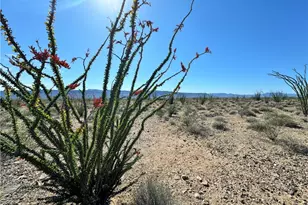 471 W Juniper Dr, Yucca, AZ 86438 - Photo 2