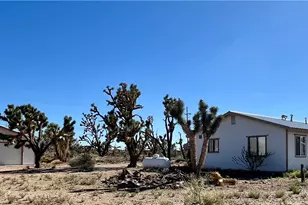 18500 N Pueblo Rd, Dolan Springs, AZ 86441 - Photo 1