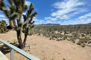 26196 N Tamarisk St, Meadview, AZ 86444 - Photo 36