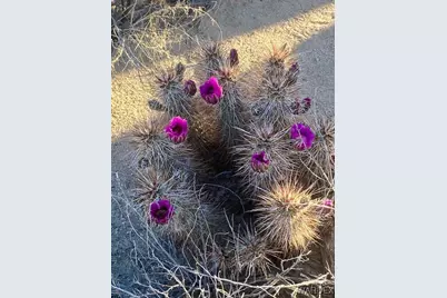 11751 S Carrow Road, Yucca, AZ 86438 - Photo 6