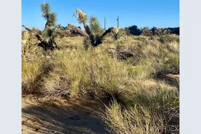 11751 S Carrow Road, Yucca, AZ 86438 - Photo 14