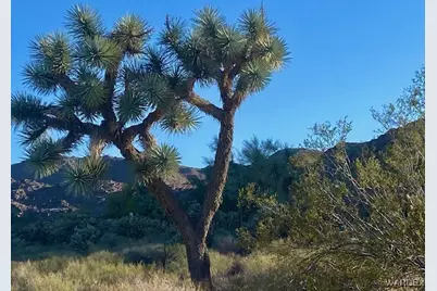 11751 S Carrow Road, Yucca, AZ 86438 - Photo 2
