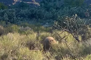 11751 S Carrow Rd, Yucca, AZ 86438 - Photo 1