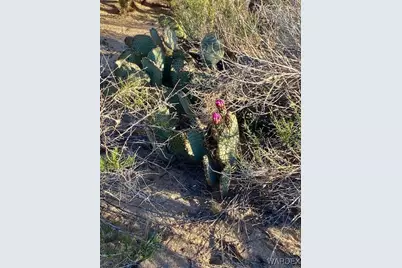 11751 S Carrow Road, Yucca, AZ 86438 - Photo 8