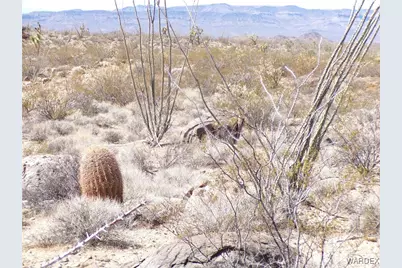 Lot 11 Leisure Road, Yucca, AZ 86438 - Photo 6