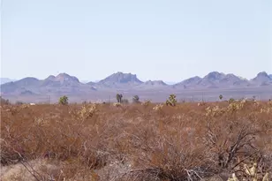 Lot 38 Saguaro Dr, Yucca, AZ 86438 - Photo 1