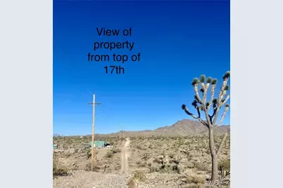 17500 N Needle Drive, Dolan Springs, AZ 86441 - Photo 4