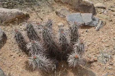 N12 Sundance Road, Yucca, AZ 86438 - Photo 38
