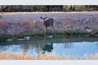 18723 E Knight Creek Road, Kingman, AZ 86401 - Photo 86