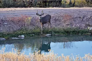 18723 E Knight Crk Rd, Kingman, AZ 86401 - Photo 86