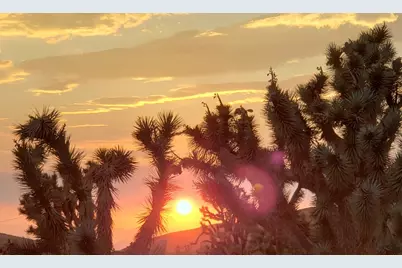 8446 & 8454 W Olema Drive #232 & 233, White Hills, AZ 86445 - Photo 24