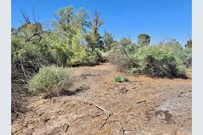 8923 S Mountain View Road, Mohave Valley, AZ 86440 - Photo 4