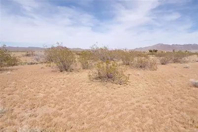 15032 Cedar Road, Dolan Springs, AZ 86441 - Photo 12