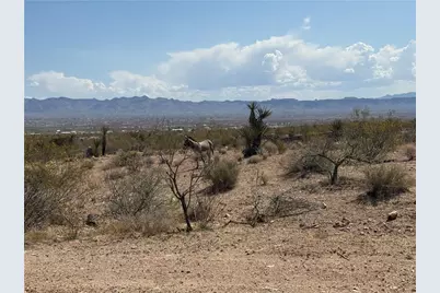 1629 S Growler Road, Golden Valley, AZ 86413 - Photo 8