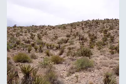 2 Lots N Mt Tipton Drive, Dolan Springs, AZ 86441 - Photo 12