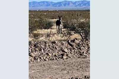4597 Hopi Road, Golden Valley, AZ 86413 - Photo 26