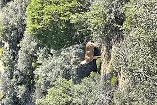 11030 S Quarter Horse Rd, Wikieup, AZ 85360 - Photo 70