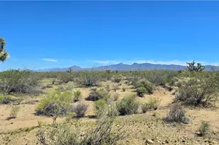 5558 E Red Barrel Rd, Yucca, AZ 86438 - Photo 44
