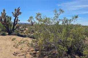 5558 E Red Barrel Rd, Yucca, AZ 86438 - Photo 38