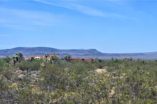 5558 E Red Barrel Rd, Yucca, AZ 86438 - Photo 2