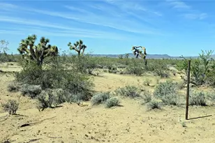 5558 E Red Barrel Rd, Yucca, AZ 86438 - Photo 40