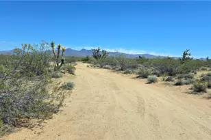 5558 E Red Barrel Rd, Yucca, AZ 86438 - Photo 36