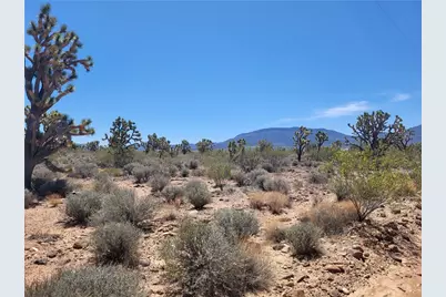 26776 N Yucca Road, Meadview, AZ 86444 - Photo 4