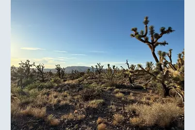 328 -05-475 N Peach Drive, Dolan Springs, AZ 86441 - Photo 4