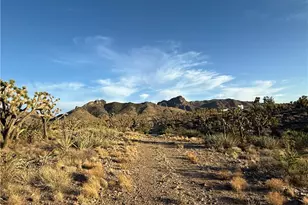 328 -05-475 N Peach Dr, Dolan Springs, AZ 86441 - Photo 1