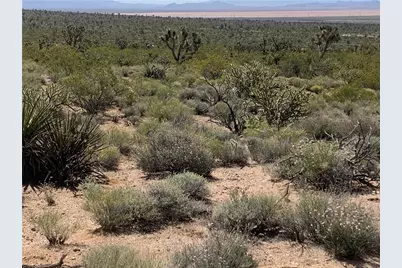 0000 Channel Drive #2023, Meadview, AZ 86444 - Photo 4