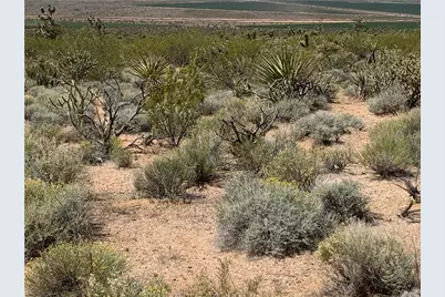 0000 Channel Drive #2023, Meadview, AZ 86444 - Photo 2