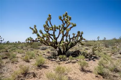 8255 Santa Cruz Drive, White Hills, AZ 86445 - Photo 14
