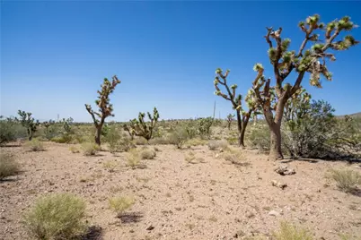 8255 Santa Cruz Drive, White Hills, AZ 86445 - Photo 16