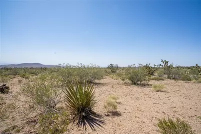 8255 Santa Cruz Drive, White Hills, AZ 86445 - Photo 18