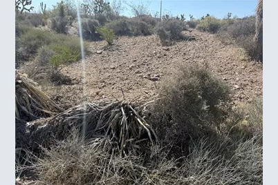 8124 Rio Vista Drive, White Hills, AZ 86445 - Photo 10