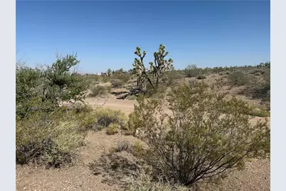 8124 Rio Vista Drive, White Hills, AZ 86445 - Photo 2