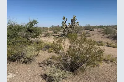 8124 Rio Vista Drive, White Hills, AZ 86445 - Photo 8